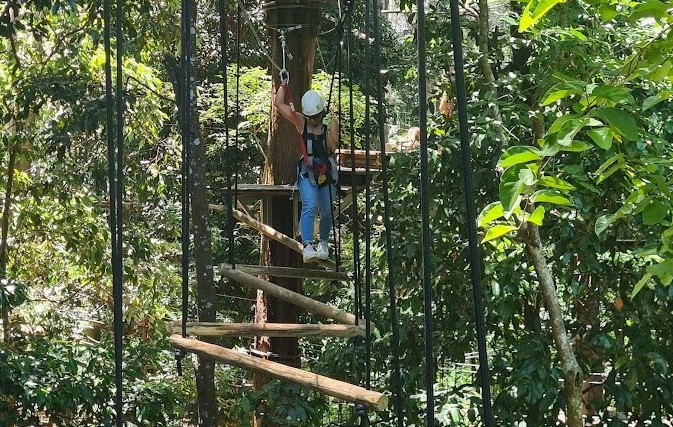 黃金海岸TREETOP CHALLENGE_Maxine wandering